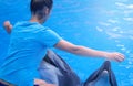 girl, trainer with dolphins Royalty Free Stock Photo