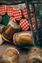 Expired homemade pickled cucumbers in jar thrown away Royalty Free Stock Photo