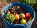 Expired Organic bio waste. Mix Vegetables and fruits in a huge container, in a rubbish bin Royalty Free Stock Photo