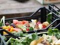 Expired Organic bio waste. Mix Vegetables and fruits in a huge container, in a rubbish bin. Heap of Compost from vegetables or Royalty Free Stock Photo