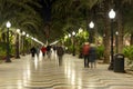 Explanada de EspaÃÂ±a promenade at night Royalty Free Stock Photo