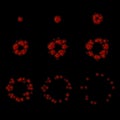 Explode Animation Sequence . Cartoon Explosion Frames. Vector
