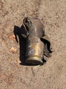 Exploded and burnt cartridge case after shot. Battlefield and the remnants of weapons ammunition close-up