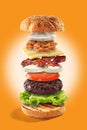 Exploded view burger