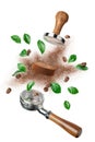 Exploded view of coffee holder and tamper with roasted beans and leaves Royalty Free Stock Photo