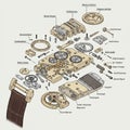 Exploded view diagram of a mechanical watch assembly, showcasing various Royalty Free Stock Photo