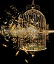 Exploding bird cage