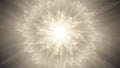 Exploding bright white light forming a radiant floral or starburst pattern explosion Royalty Free Stock Photo
