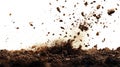 Exploding brown soil with flying chunks isolated on white background dynamic ground debris earth particles splatter Royalty Free Stock Photo