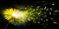 Exploding dandelion