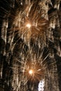Exploding fireworks, digitally enhanced.