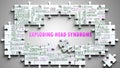Exploding Head Syndrome as a complex subject, related to various topics and ideas on a puzzle