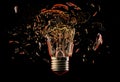 Exploding light bulb on a blue background, Royalty Free Stock Photo