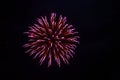 exploding round red firework in black night sky with copy space Royalty Free Stock Photo