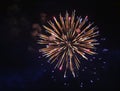 Exploding White gold light fire firework background Royalty Free Stock Photo