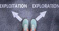 Exploitation and exploration as different choices in life - pictured as words Exploitation, exploration on a road to symbolize