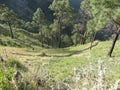Exploration in Himachal 3-Kasauli