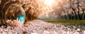 Explore an abstract digital forest where the trees are made of binary code, illuminated by a soft golden light The leaves glow