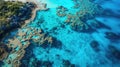 Explore the captivating marine haven of the Great Barrier Reef Royalty Free Stock Photo