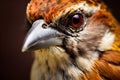 Close-Up Capture of a Delicate Sparrow, Showcasing Its Tiny Features and Playful Elegance.GenerativeAI.