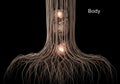 Intricate human body nervous system visualization with glowing internal organs and central brain Royalty Free Stock Photo