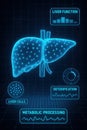 Digital illustration of the human liver showcasing metabolic processing liver function and detoxification processes in a Royalty Free Stock Photo