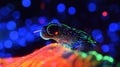 Neon Neural Control in Chemogenetics and Optogenetics Research Royalty Free Stock Photo