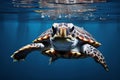 Explore the Depths with a Magical Underwater Turtle