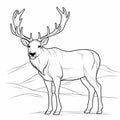 Black and White Deer Sketch