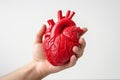 3d printed human heart held by doctor, innovative medical concept, Generative AI