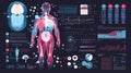 Explore the human body through an engaging infographic that highlights key biological functions and data visualizations