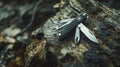 Multitool demonstration with open knives in forest setting close-up photography nature outdoor adventure detail shot Royalty Free Stock Photo
