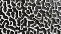 Monochrome Brain Coral Texture: Abstract Print Royalty Free Stock Photo