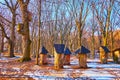 Explore log hives on the forest glade, Pyrohiv Skansen, Kyiv, Ukraine Royalty Free Stock Photo