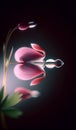 Translucent Beauty: Capturing the Elegance of a Bleeding Heart Flower. Flower Background