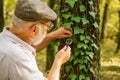 Explore nature. Pensioner with magnifier exploring forest autumn day. Botanist examine plants. Old man scientist Royalty Free Stock Photo
