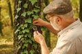 Explore nature. Pensioner with magnifier exploring forest autumn day. Botanist examine plants. Old man scientist Royalty Free Stock Photo