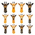 Giraffe Logos Collection: Set Of Isolated Designs On White Background Royalty Free Stock Photo