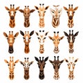 Giraffe Logos Collection: Set Of Isolated Designs On White Background Royalty Free Stock Photo