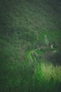 Mountain Vista: Winding Train Tracks Cutting Through Lush Green Forest Below. Royalty Free Stock Photo