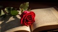 Red Rose on Open Book Romantic Close-Up View Royalty Free Stock Photo