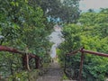 Old Wooden Hand Stairs Surrounded by Lush Green Trees