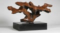 Explore Sculpted Tree Root Wood Artistry in Studio Setting on Display Royalty Free Stock Photo
