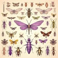 Discover the Magical World of Insects and Small Creatures