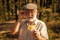 Explore world around. Pensioner hiking in forest on sunny autumn day. Botanist examine herbs. Old man collect leaves Royalty Free Stock Photo