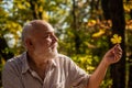 Explore world around. Pensioner hiking in forest on sunny autumn day. Man enjoy autumn nature. Old man collect leaves Royalty Free Stock Photo