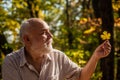 Explore world around. Pensioner hiking in forest on sunny autumn day. Man enjoy autumn nature. Old man collect leaves