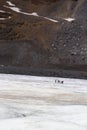 Explorers hiking Athabasca glacier at Jasper National Park Canadian Rocky Mountains