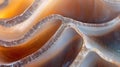 Exploring abstract brown and white agate texture