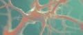 Exploring abstract tree diagrams for visualizing hierarchical data organization Royalty Free Stock Photo